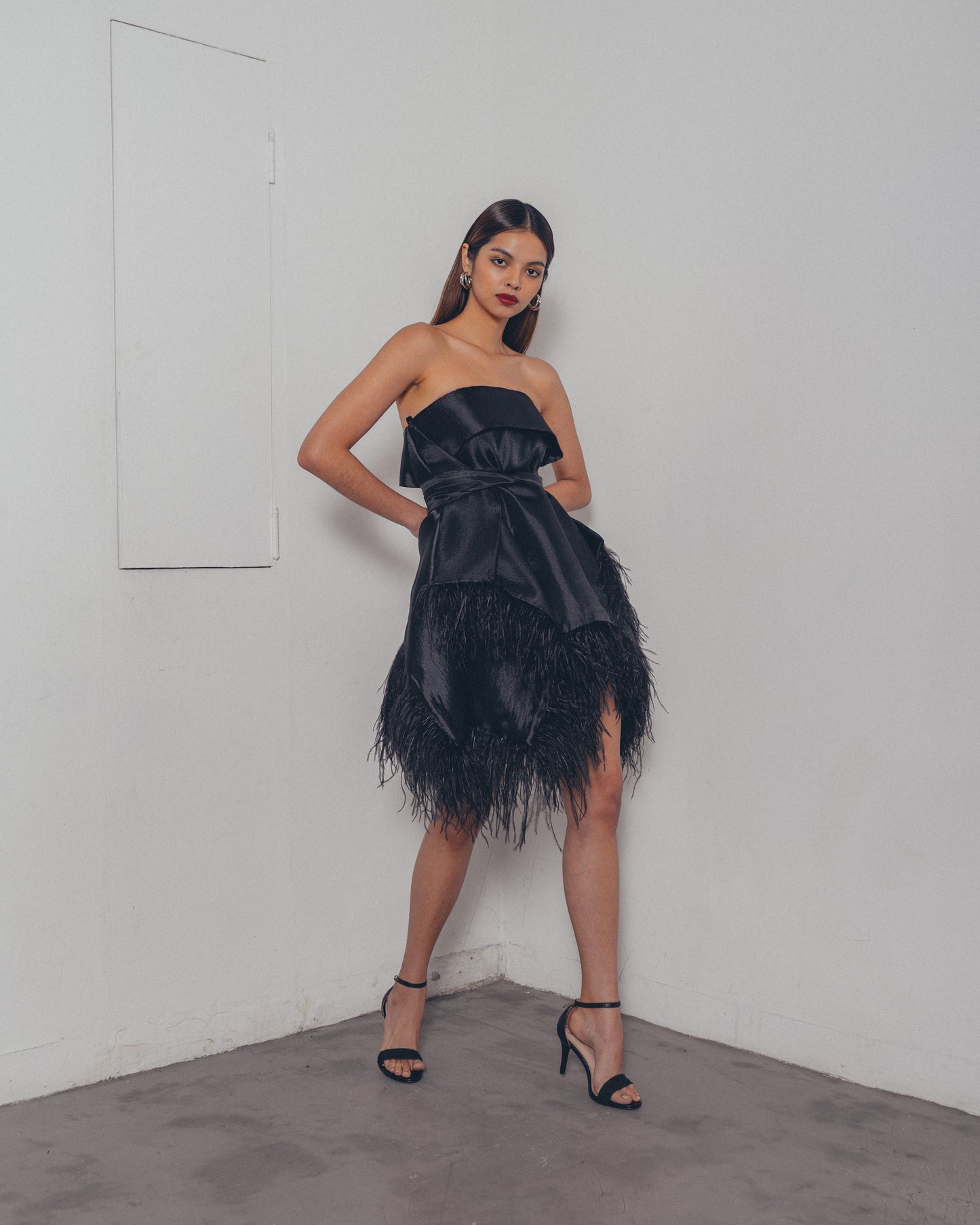 BLACK OSTRICH ORGANZA DRESS